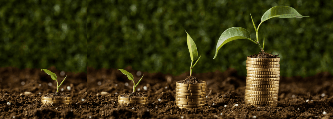 How can you Maximize your Return on Investment with Fungicides this year?