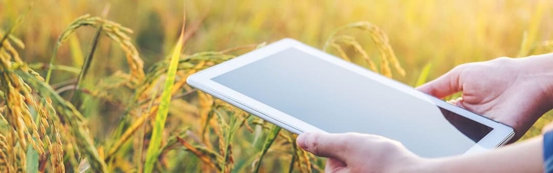 4 Reasons to Buy From AgraCity