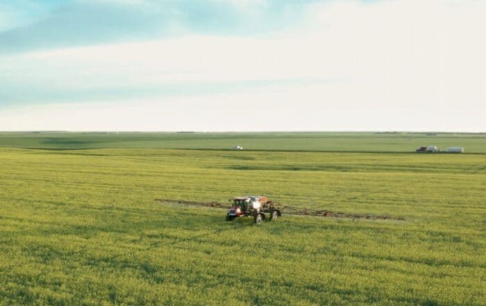 Effective Weed Control for Canola in Western Canada