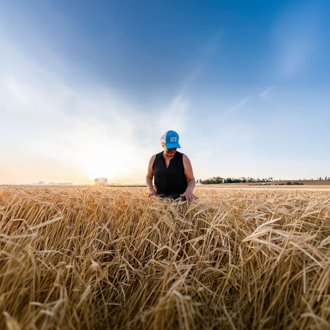 The Nutrients Needed to Maximize Yields – Micro-Phos