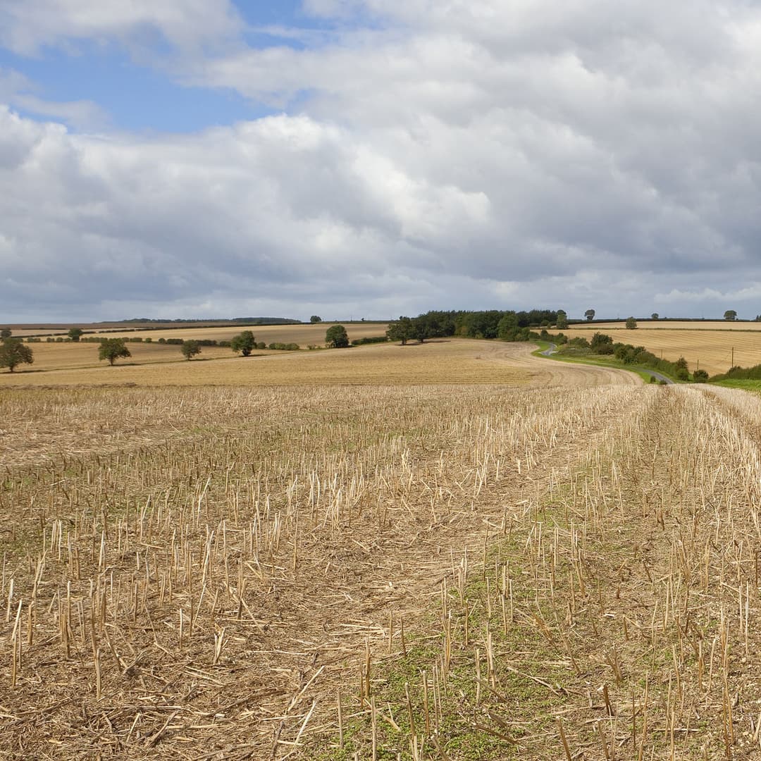 The Most Common Questions on Pre-seed Herbicide Application